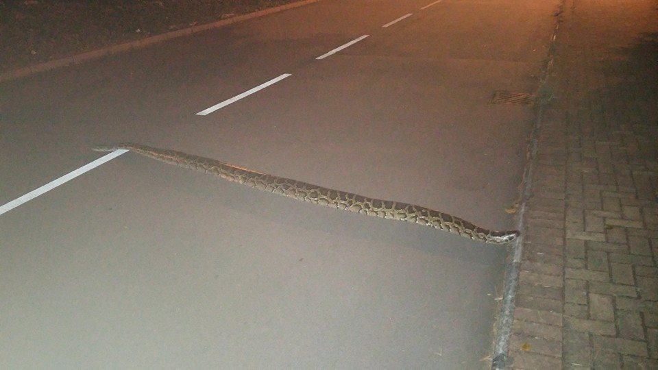 �߳������г���������������3�׳�