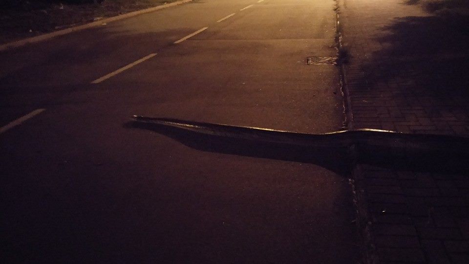 ���������պ����ȥ�����ޱ���������