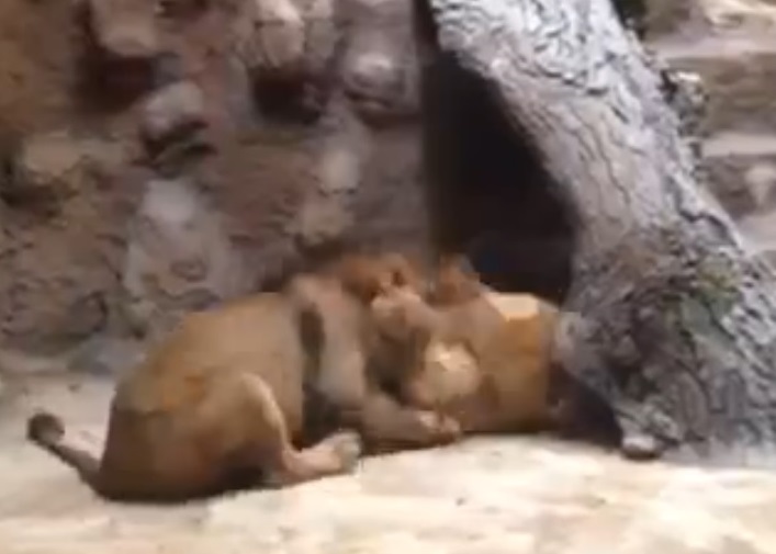 ʨͻվԱߵĸʨҧĺţսҧ