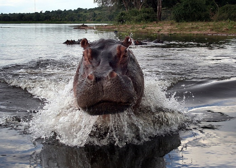 ĸ����Ŀ¶�׹⣬��ֹСͧ����ʻ����