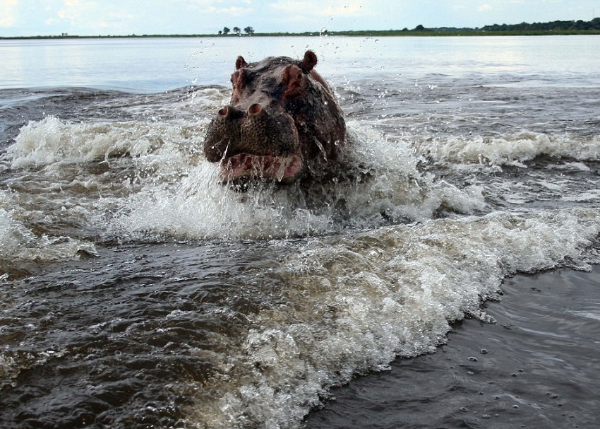 ��ʹСͧʻ���ֳ���ĸ�����Լ�����ŭ��