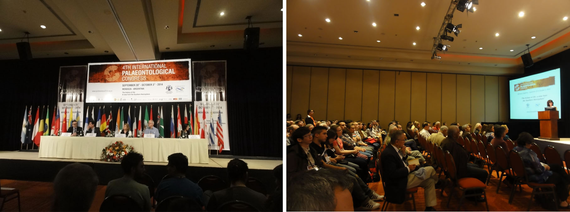 大会开幕式现场