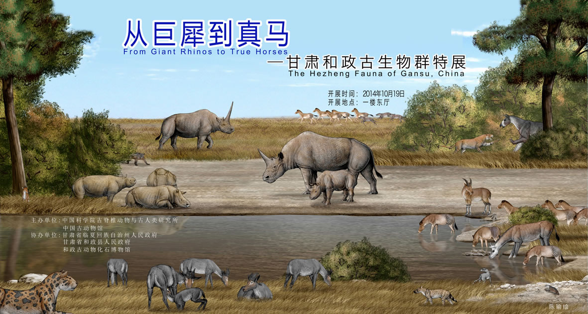 中国古动物馆将推出“从巨犀到真马——甘肃和政古生物群特展”