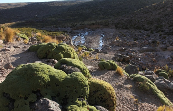 追寻第一个南美原住民的足迹