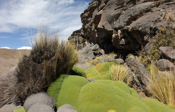 追寻第一个南美原住民的足迹