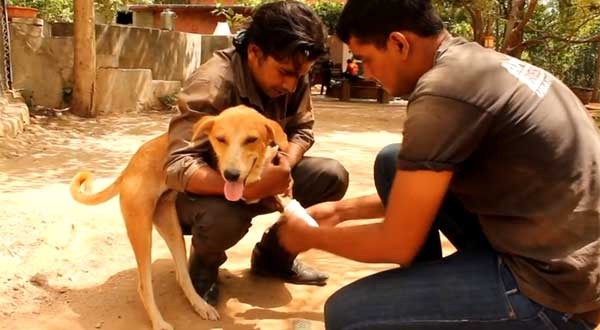 ӡ˻ƹJoyײǰ֫Ԯ󣬽֫ǰȣֻʣǰȡ