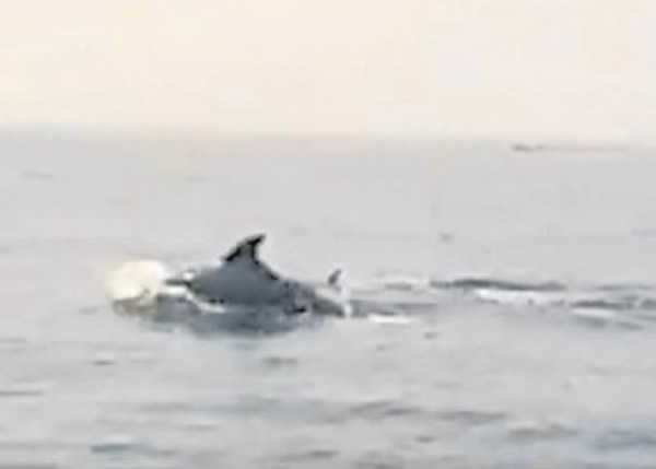 �������ǻ�������������Ϻ���Ⱥ