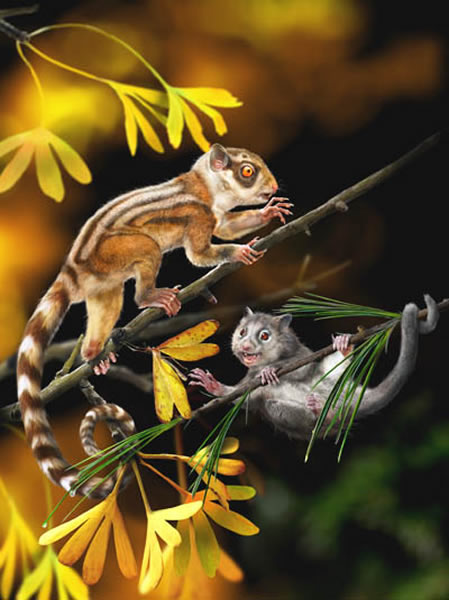 真贼兽复原图(来自中国侏罗纪的神、仙二兽)