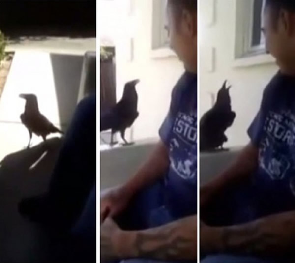 �������Ӹ���ѻ���к���Hello���� ����һ�䡰Fuck you����