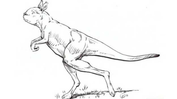 �Ѿ������İĴ�����ʷǰ���ʹ������ú���վ������