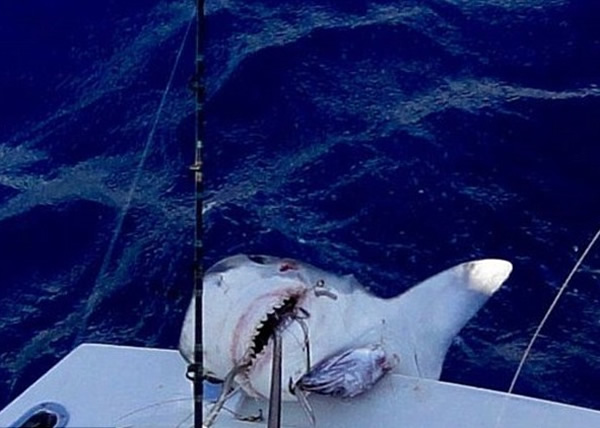 ����12����ͯ�״γ��������8�ճ�����