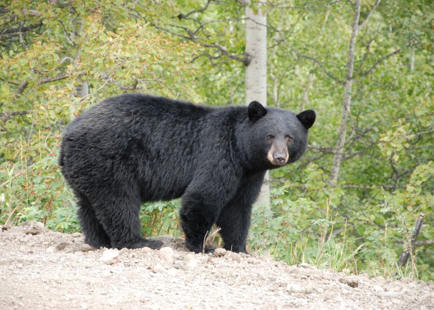 ����ý����65��������������ಡ����� �����ܵ�ʬ�Ե�