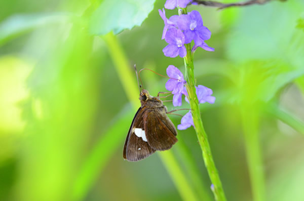 ����׶ȼ�¼����խ����Ū����