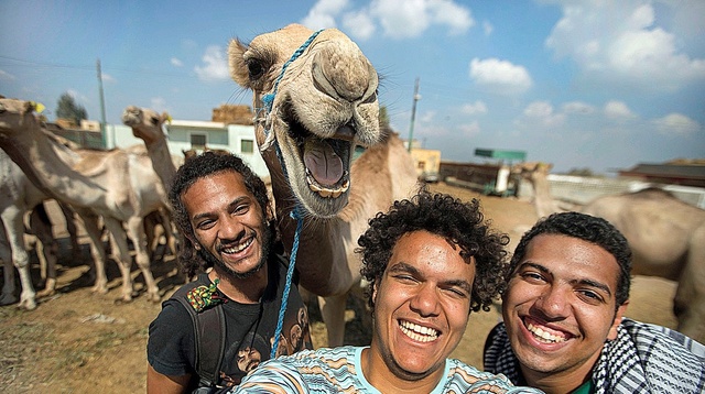 3名男子在埃及与骆驼自拍 看照片才发现骆驼笑得更灿烂