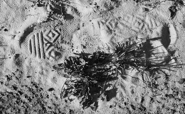 30λѧҺ1λʦڵ¹ٿ顰