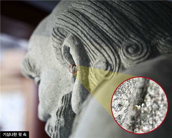 ϺһѧУ18޺ʯзǧѼġޡ