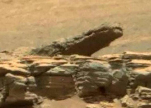 ���ǡ����㡱��ʯɹ�չ�ԡ