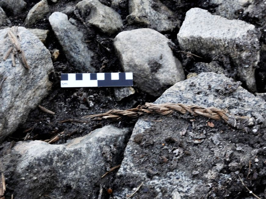 �������ڵ�ò�仯�����Ŀ���ѧ����