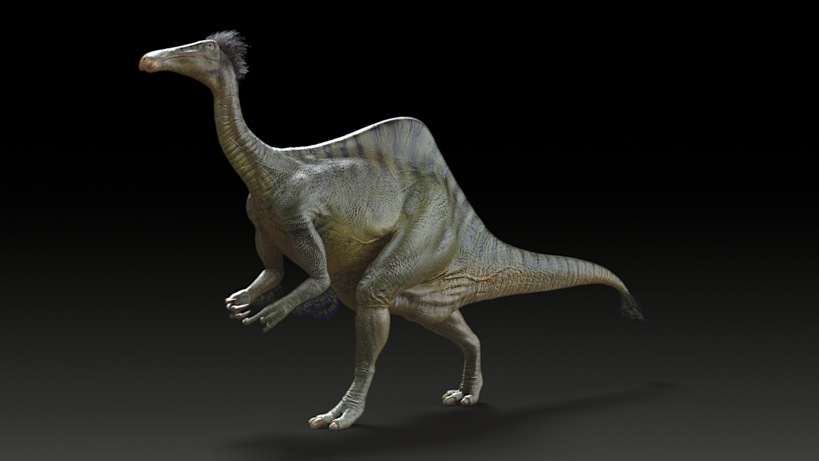 新发现的奇异恐手龙(Deinocheirus mirificus)复原图