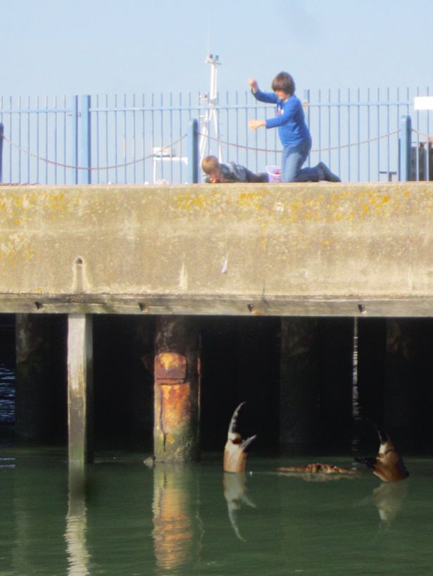 Ӣ�����ؿ�����˹�ز��ۿڸ���ˮ�����֡������з����Ӱ