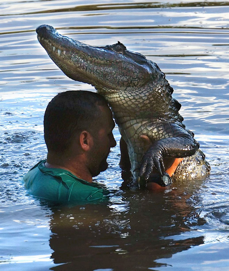 拉克罗斯与鳄鱼大跳热舞