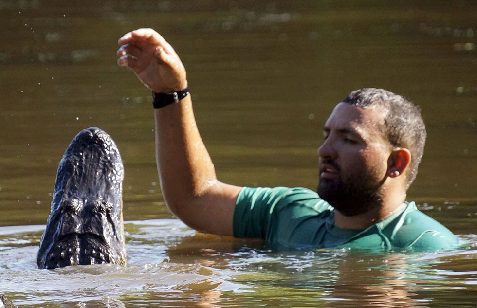 拉克罗斯喂食鳄鱼