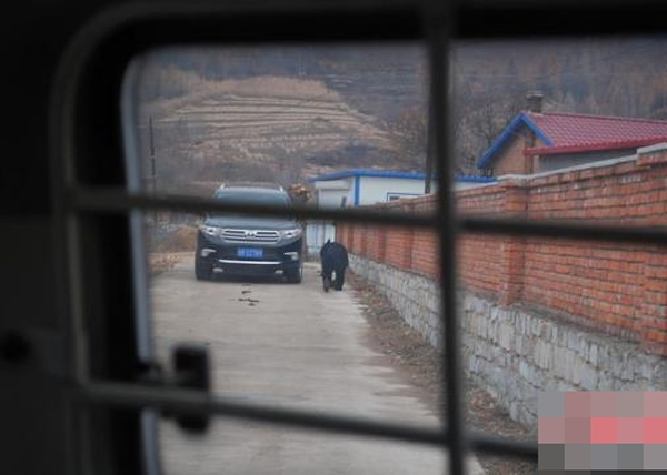 ���ֽ��Ͼ��ֺ��ܡ��й䡱����Ա�����͡���ɽ�֡�