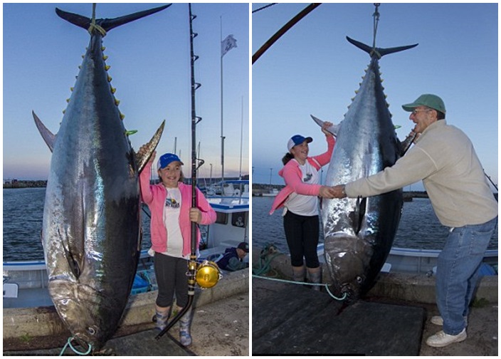 加文(粉红衣者)捕获重279.4公斤的巨型蓝鳍吞拿鱼,创下纪录。