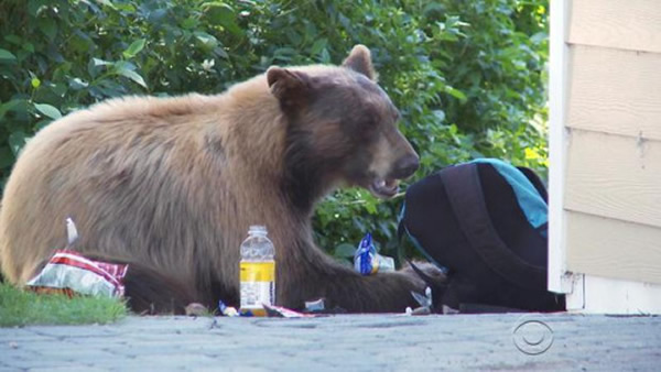 ���ʳ����ջ󣬺ܶ���ܲ��ò����������������������š�