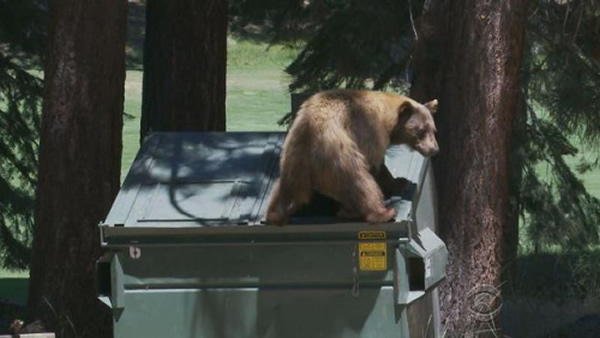 һֻ����������վѰ��ʳ��