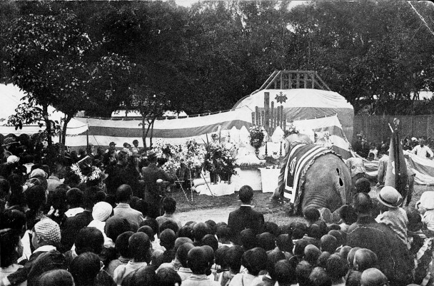 �߹�һ���͵����£�̨����������԰�ص��Ѽ���������ʷ�ϣ����С�̨����������԰����ʷ����