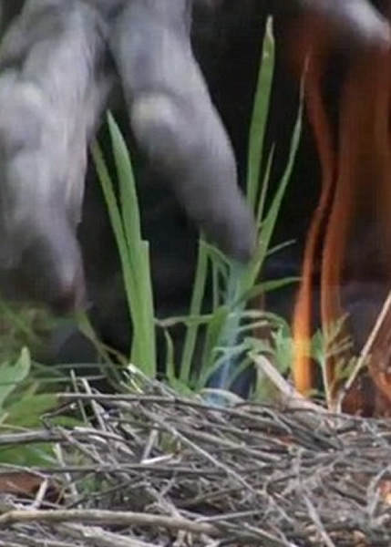 ����ȫ���Լ�����