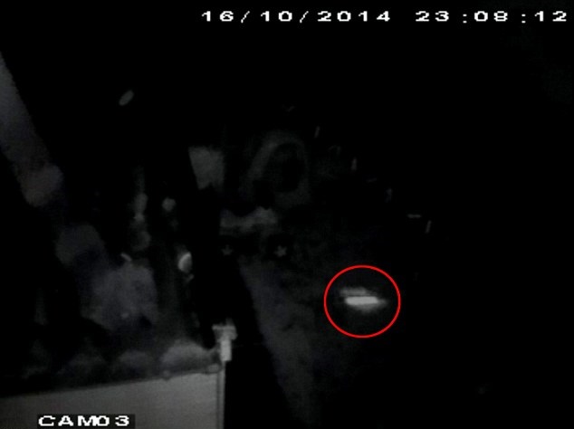 ������Ϊ��ֻ��һֻ�ɶꡣ