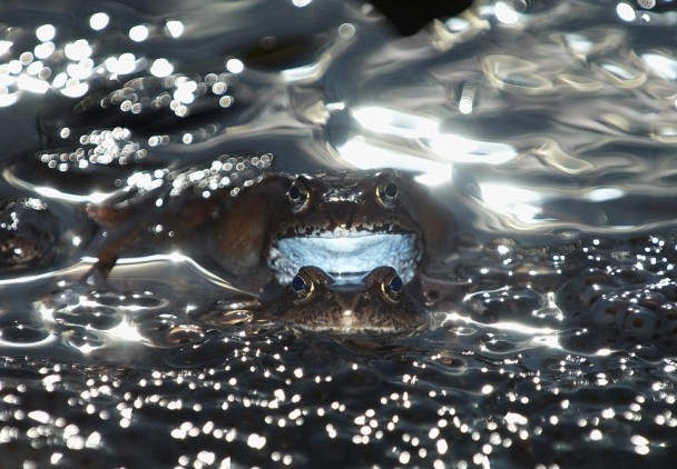 15��17�����ʤ����Ʒ������ӵ����