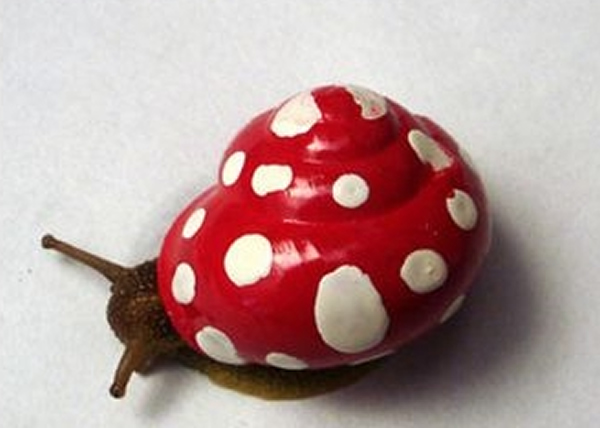 外国网民为蜗牛壳添色彩防被行人踩死 - 神秘的