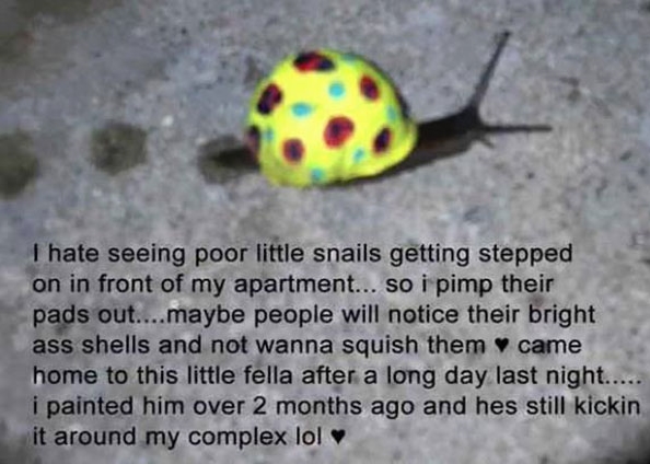 �����һ��Ů����ָ��������ţ��������Ϊ��ţ������ݡ�