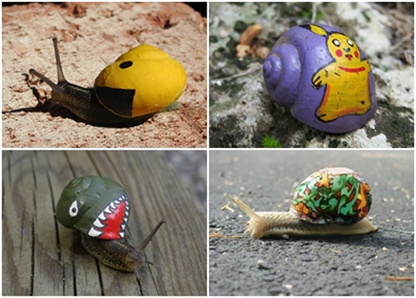 �����Լ��ĳɹ����أ����������ѷ�����