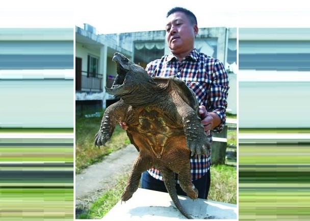 ���������ڳ�������20�������ʹ�����