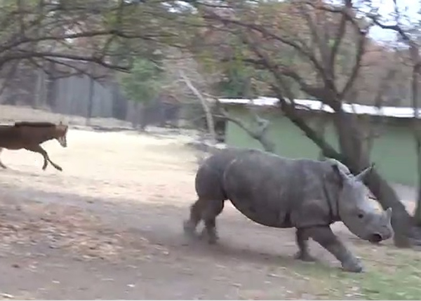 ��֪����İ���ܽ��Ķ���