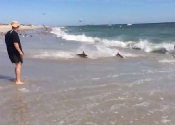 ƬοɼһȺ溣˳嵽ǳ̲ϲʳмں̲ϸǳ