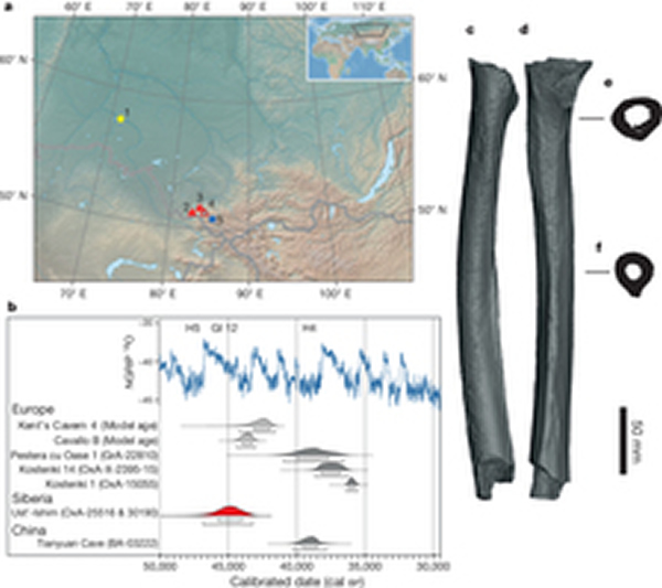 ���������DNA��ʾ�ִ��ˡ����š�����