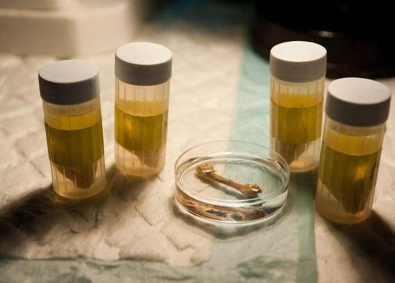 �о���Ա�Է������������ǵ���4.5������ǰ��һ�������ȹǽ��л������