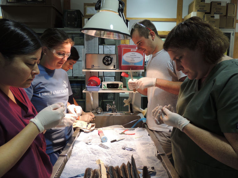 һֻ���˵���ѻ���к����ġ���ë��ֲ��