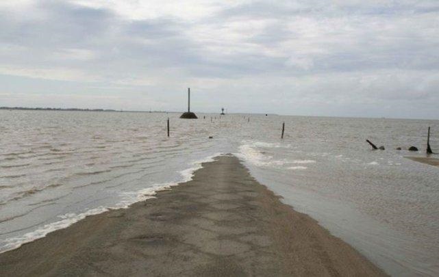 ������������ʡ�ĸ���˹ͨ������˲����û �����ץ��ʱ��