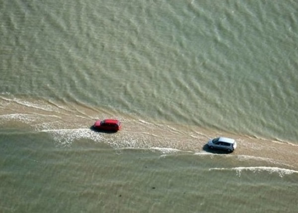 ������������ʡ�ĸ���˹ͨ������˲����û �����ץ��ʱ��