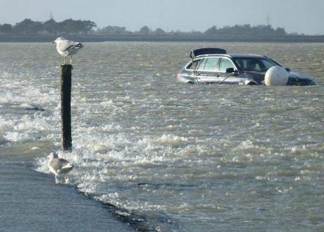 ������������ʡ�ĸ���˹ͨ������˲����û �����ץ��ʱ��