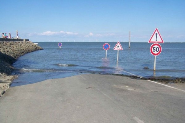 ������������ʡ�ĸ���˹ͨ������˲����û �����ץ��ʱ��