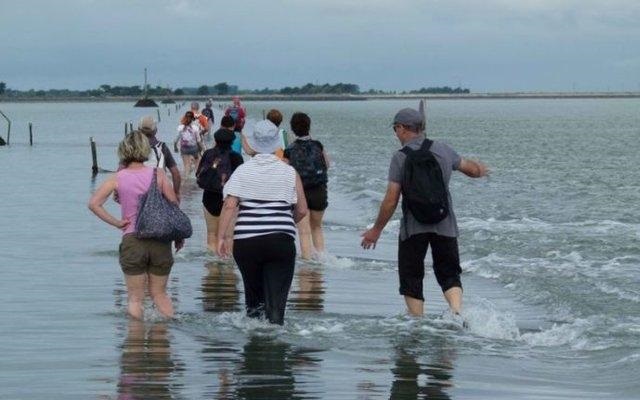 ������������ʡ�ĸ���˹ͨ������˲����û �����ץ��ʱ��