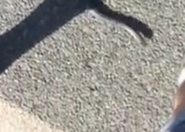 �޲����ۼ��߳����������ƣ���ѡ�����ܣ���Ϊ�߻�������ȥ��