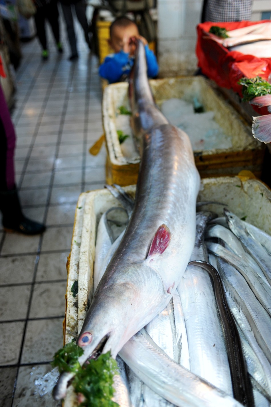 �ൺ���񲶻�����׳���45����ͺ�����